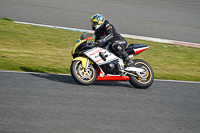 Lower Group Multicolour Bikes